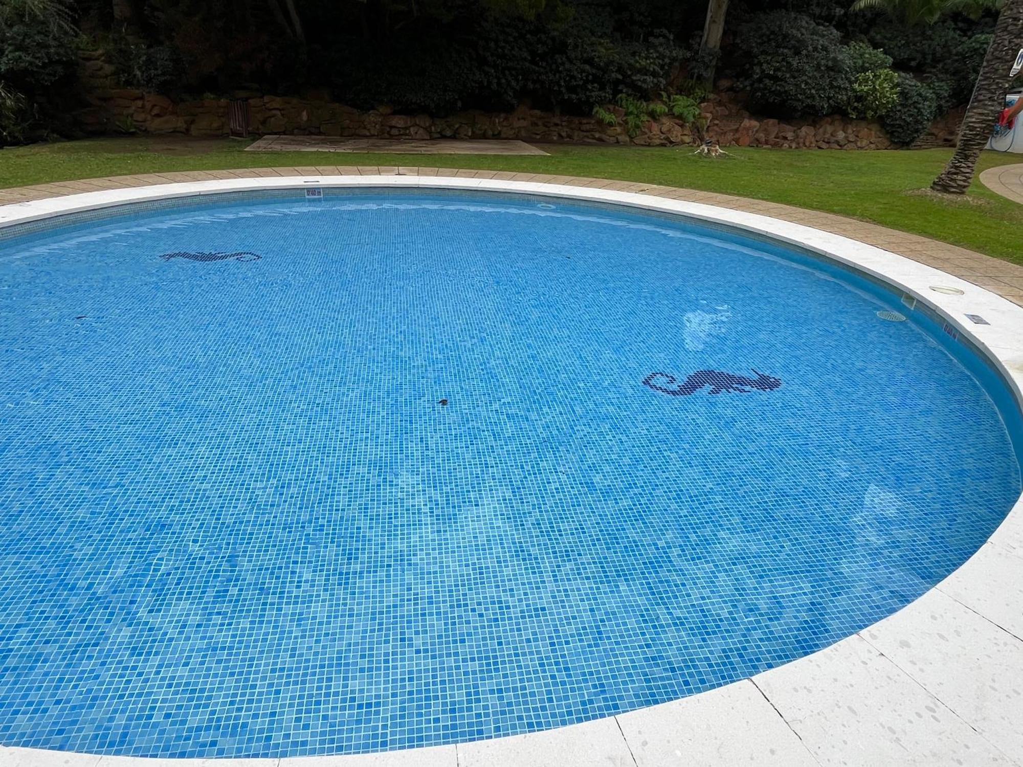 Apartment Jardines Del Mar,penthouse Elisabeth